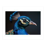 Close Up Peacock Head Blue Green Feather  (Print Only) thumbnail