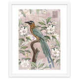 Exotic Bird thumbnail