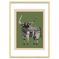 Striped Bull