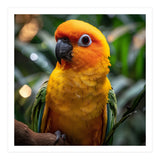 Sun Conure Parrot Colorful Bird Perched On Branch (Print Only) thumbnail