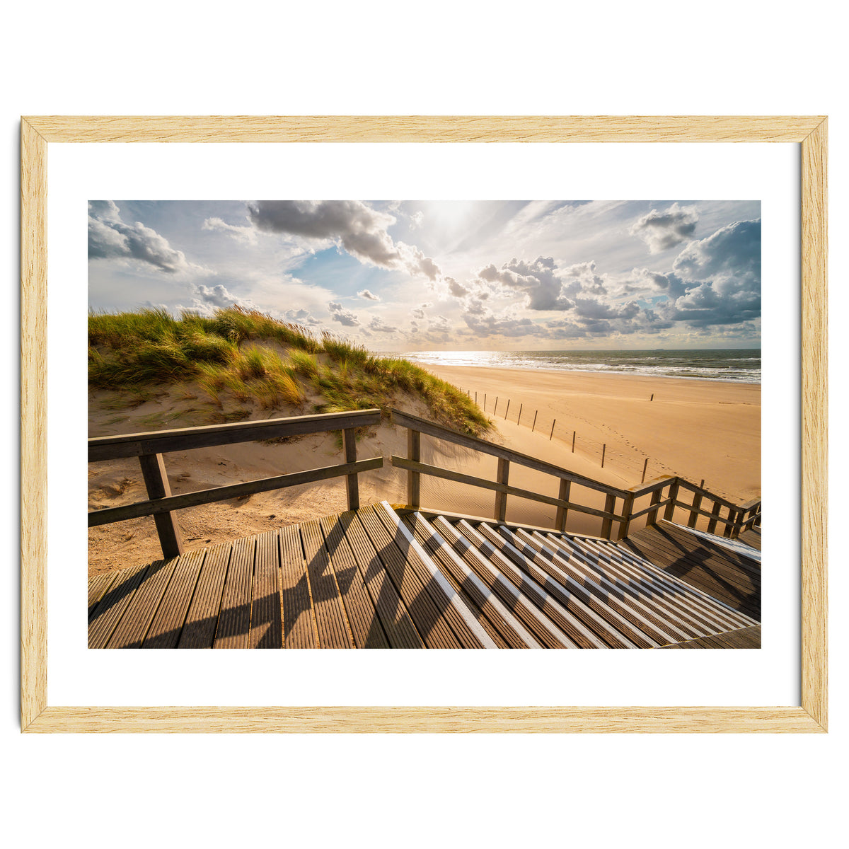 A day at the Dutch beach