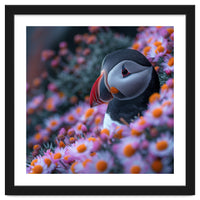 Puffin Bird Among Pink Flowers