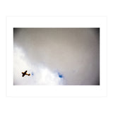 The Little Prince (Print Only) thumbnail