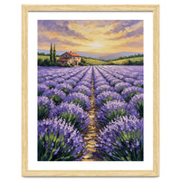 Visions of Provence