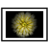 Backyard Flowers No 86 Color Flow Version thumbnail