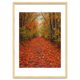 Lush Autumn Forest Path Covered thumbnail