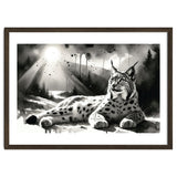 Lynx Resting In Sunlight thumbnail