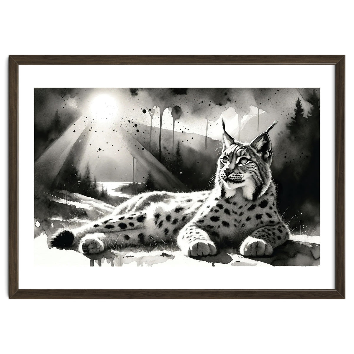 Lynx Resting In Sunlight