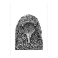 Muninn (Print Only)