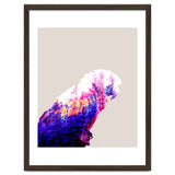 Macaw thumbnail
