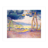 Pines Along the Shore. (Print Only) thumbnail