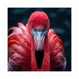 Close Up Flamingo Face With Water Droplets (Print Only) thumbnail