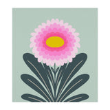 Chrysanthemum - turquoise and pink (Print Only) thumbnail