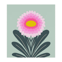 Chrysanthemum - turquoise and pink (Print Only)