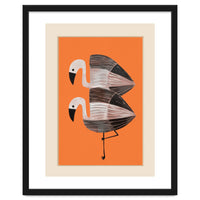 Tangerine Flamingos