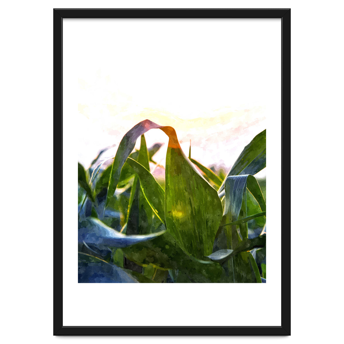 Hope With Abstraction