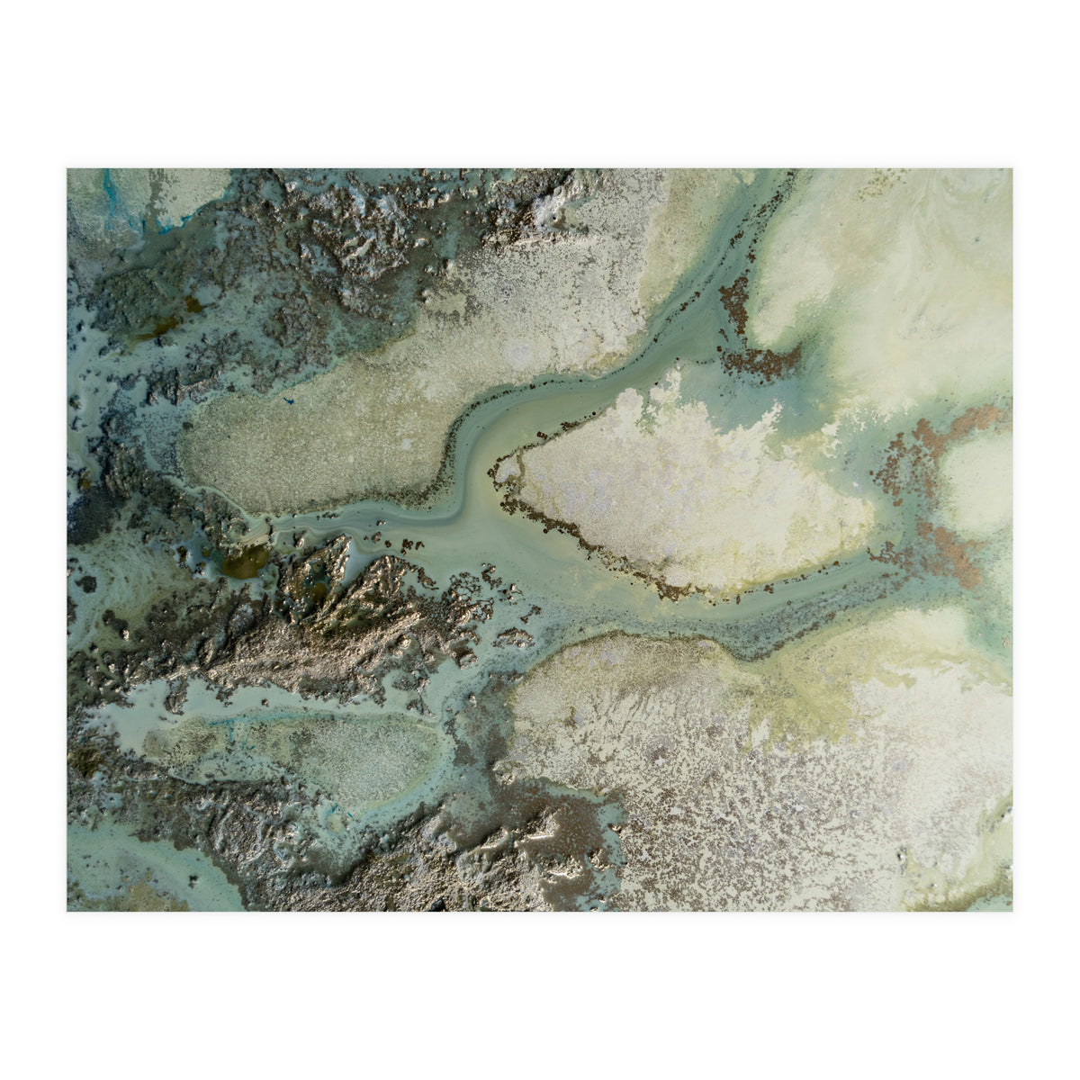 Evergreen (Print Only)