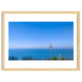 Blue thumbnail