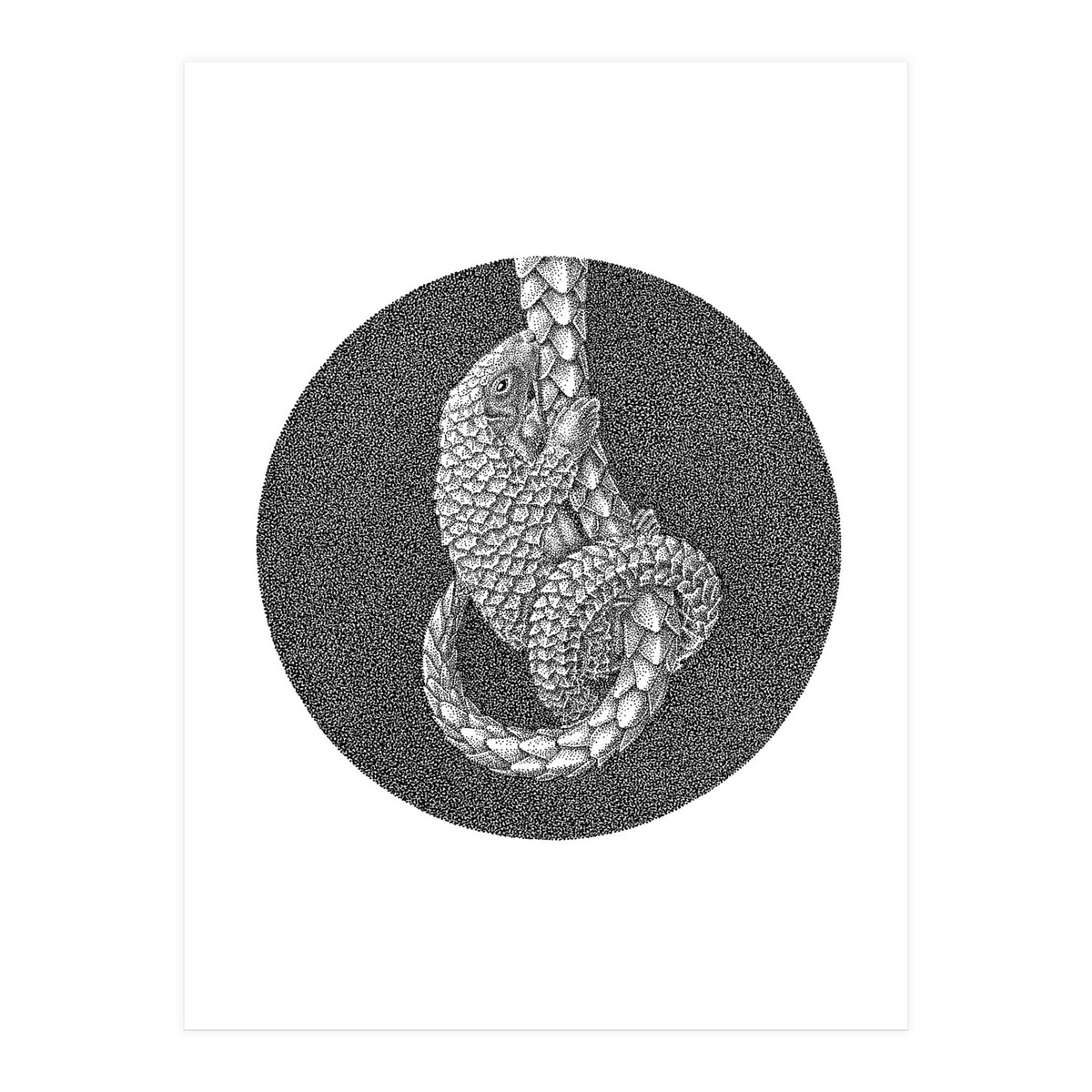 Pangolin no. 3 (Print Only)