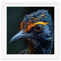 Close Up Of A Colorful Bird Head And Eye