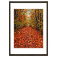 Lush Autumn Forest Path Covered
