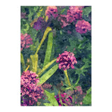 Aliyah (Print Only) thumbnail