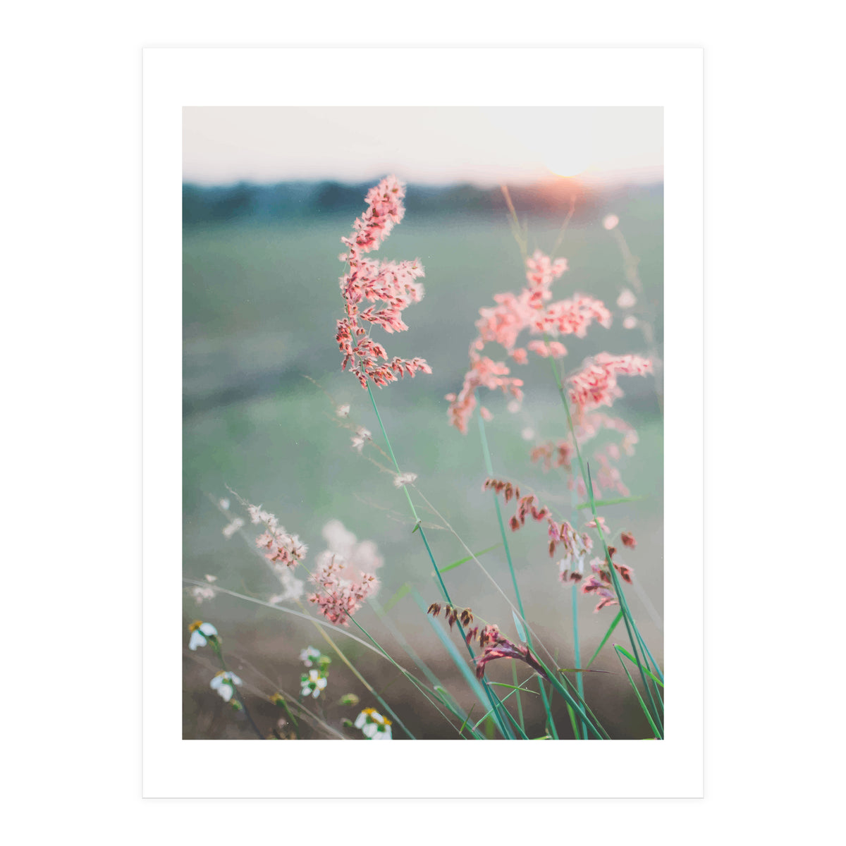 Dance With Air (Print Only)