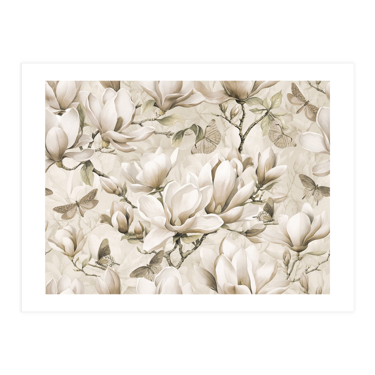 Magnolia And Butterfly Cream (Print Only)
