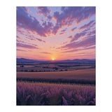 Serene Lavender Fields at Golden Hour Sunset (Print Only) thumbnail