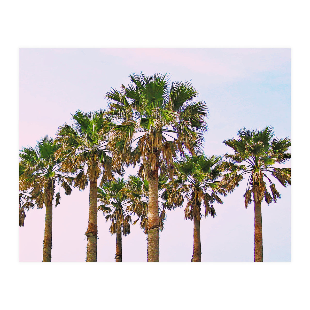 Vacay || #society6 #decor #buyart (Print Only)