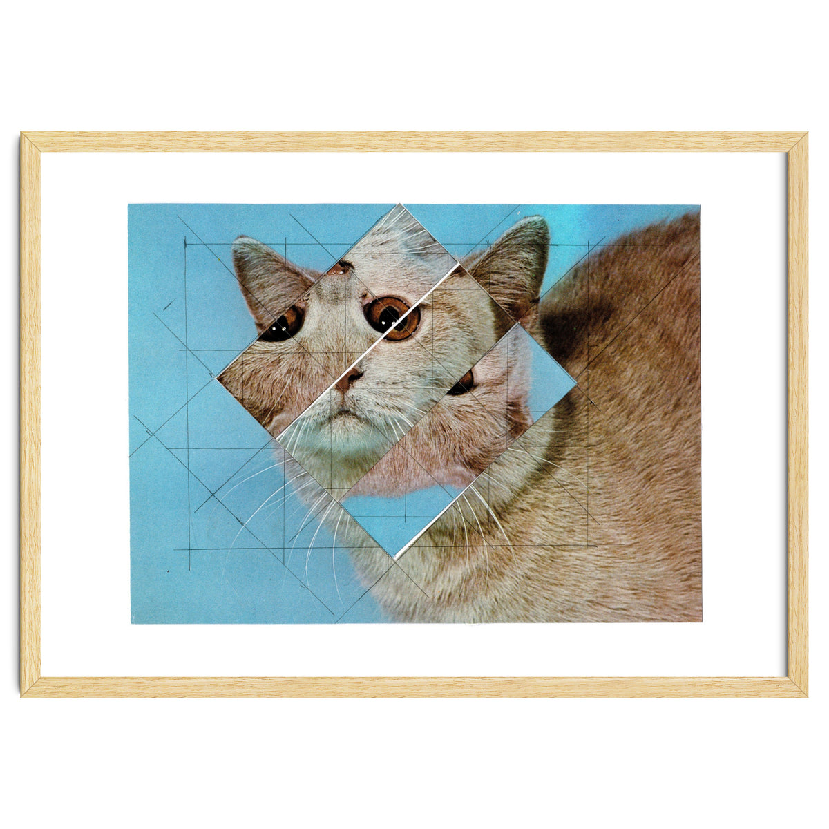 The Depressive Cat Am Abend Bekommt Den Blues