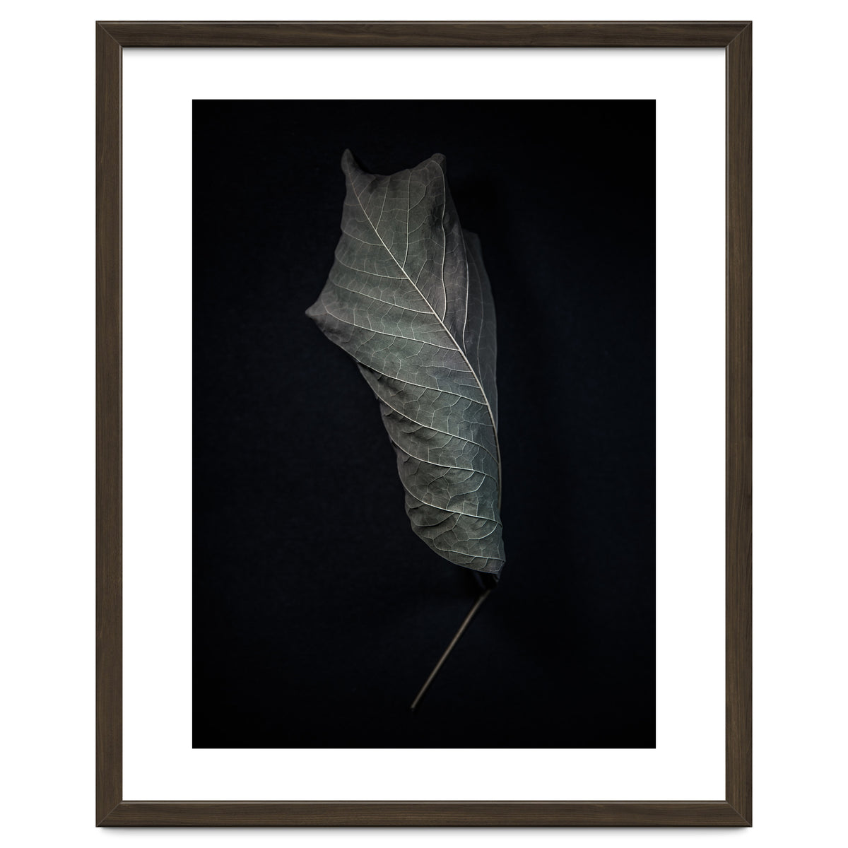 Leaves No 3 Color Version