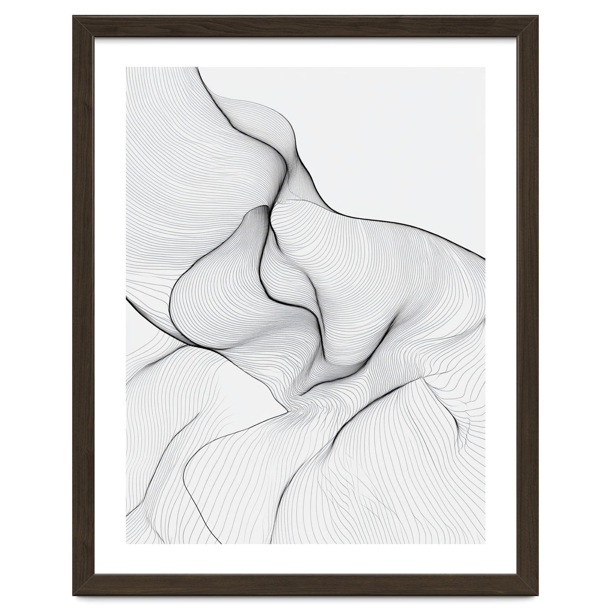 Abstract Black And White Flowing Lines Organic Form