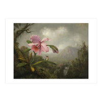 Martin Johnson Heade (Lumberville, 1819-St. Augustine, 1904). Orchid and Hummingbird near a Water... (Print Only)