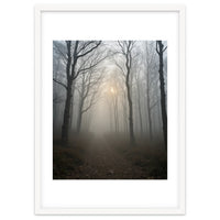 Ethereal Morning Light Breaking Through Dense Forest Fog
