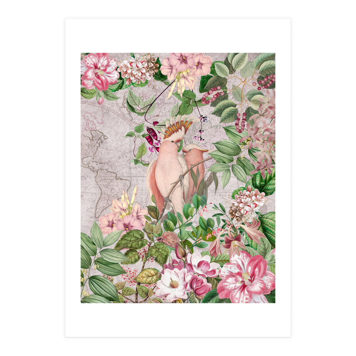 Parrot Exotic Jungle  (Print Only)