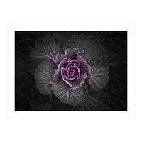 Backyard Flowers No 108 Color Version (Print Only)