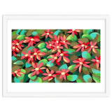 Red flowers thumbnail
