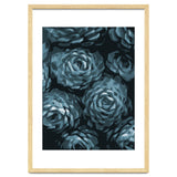 Succulent Plant Blue Ii thumbnail