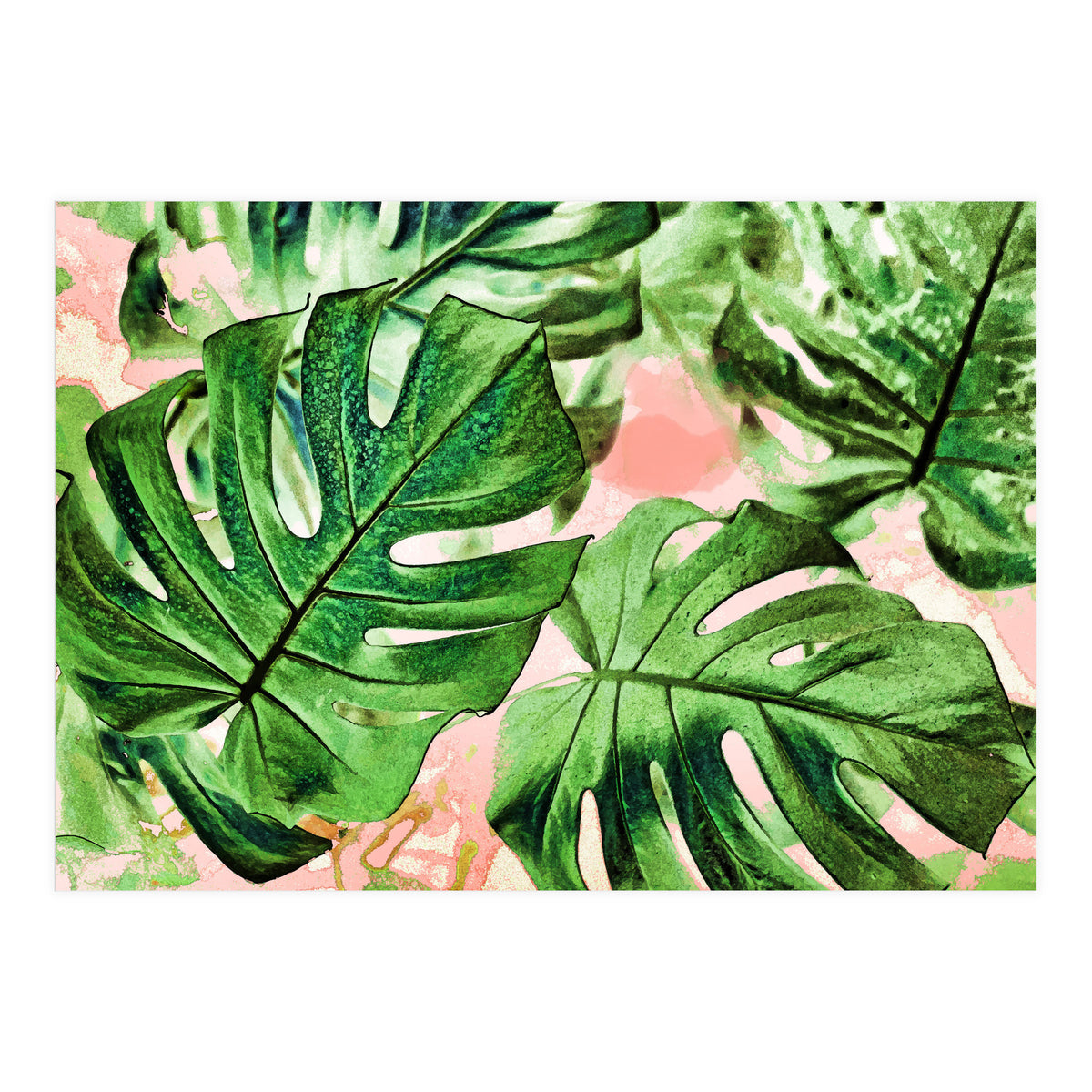 Monstera Beauty #society6 #decor #buyart (Print Only)