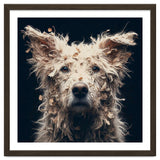 Old Dog 06 thumbnail