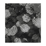 Hydrangeas | Black & White Portrait (Print Only) thumbnail