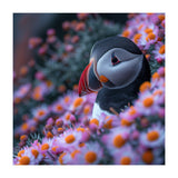 Puffin Bird Among Pink Flowers  (Print Only) thumbnail