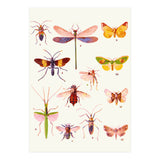 Beautiful Creatures (Print Only) thumbnail