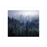 The Visionary Echo (Print Only) thumbnail