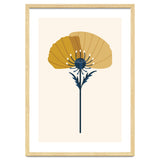 Ochre Half Poppy thumbnail