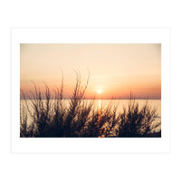 Orange Heatwave 2 (Print Only)