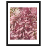 Pink Blossom thumbnail