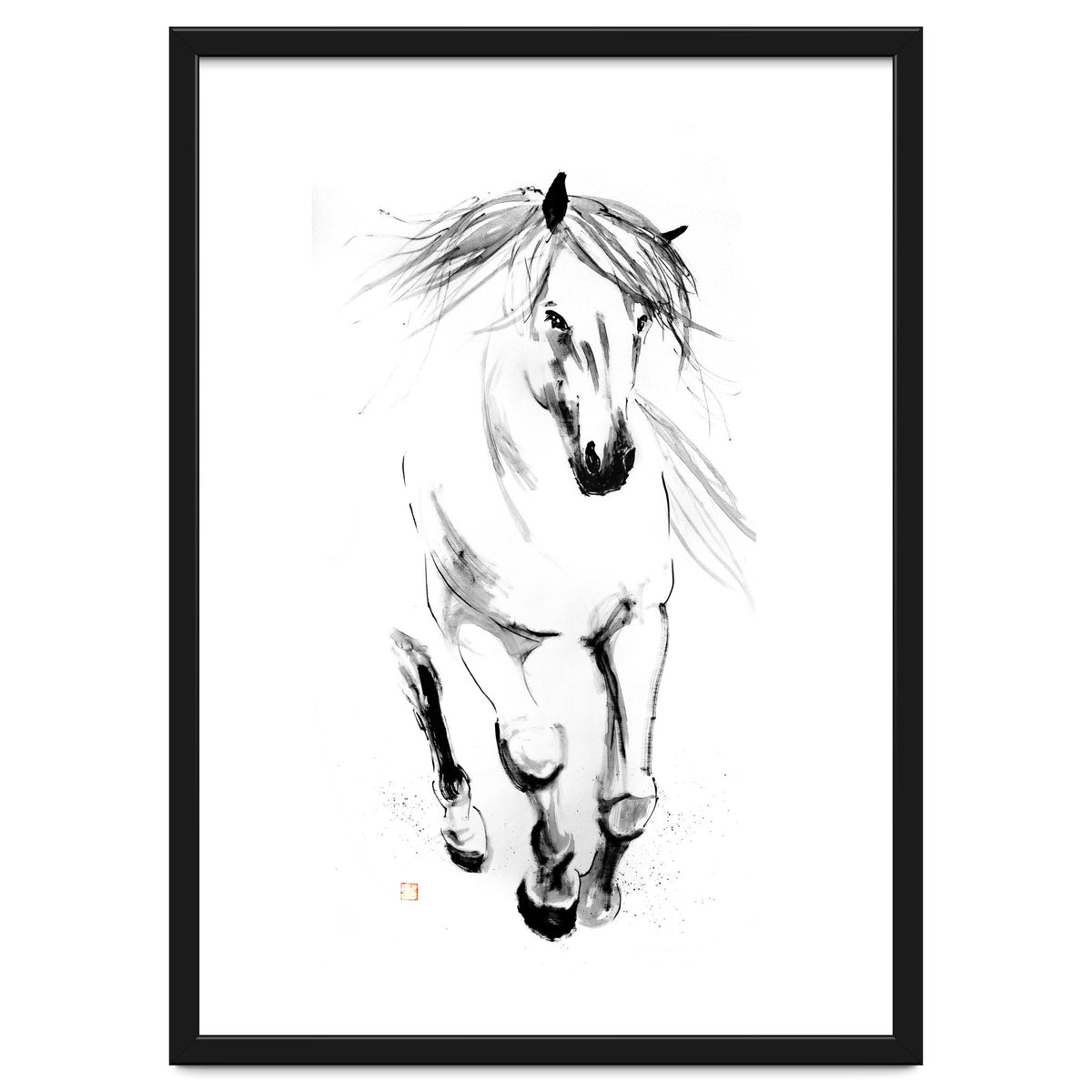 Runninh Ghorse In Water