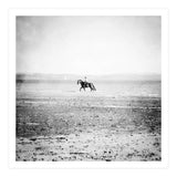Sea Horse (Print Only) thumbnail